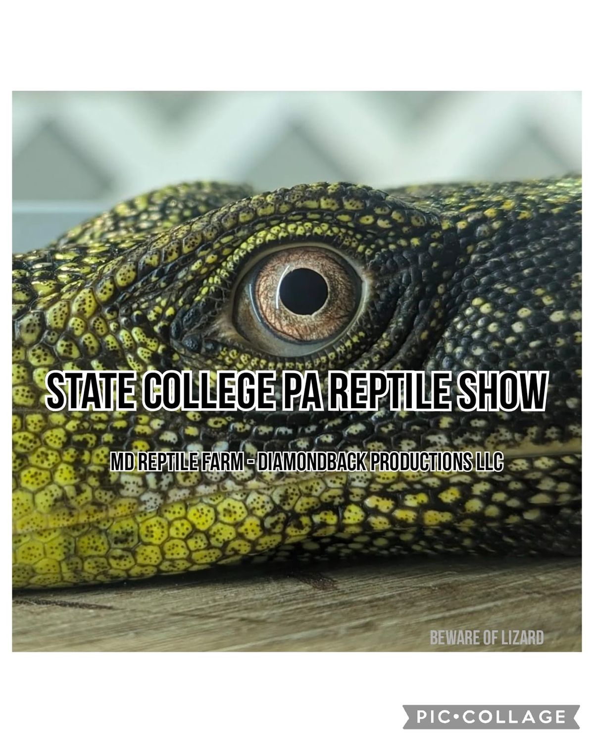 State College PA Reptile Show 