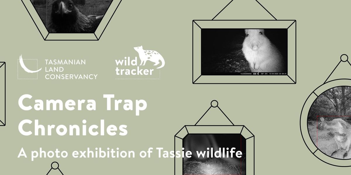 Camera Trap Chronicles: A Photo Exhibition of Tassie Wildlife \u2013 Launceston