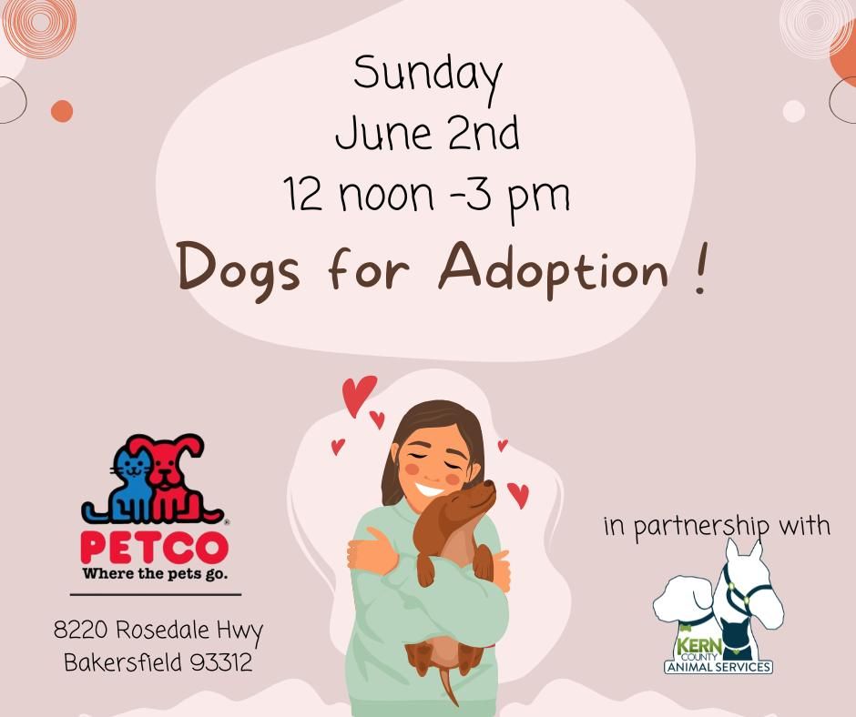 Dogs for Adoption at PETCO