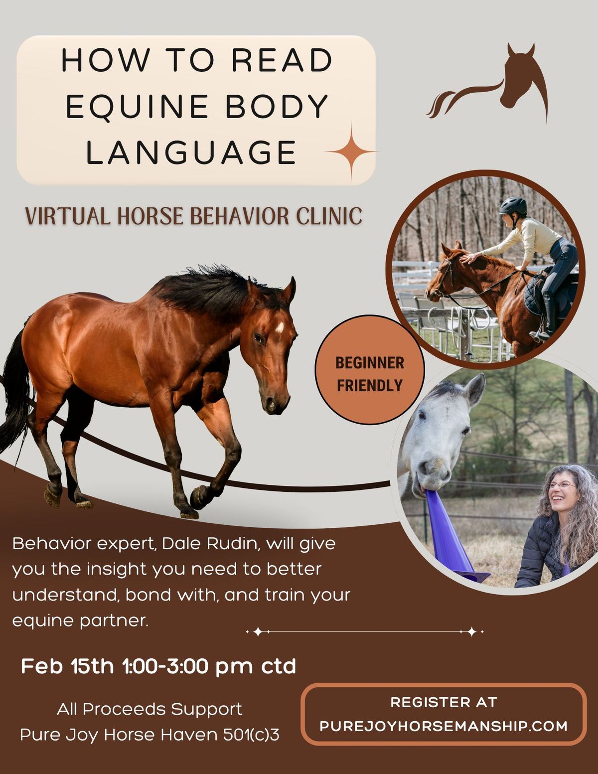 How to Read Equine Body Language 