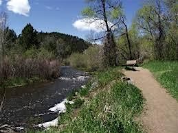 Bear Creek Beach Day and Singles Mixer