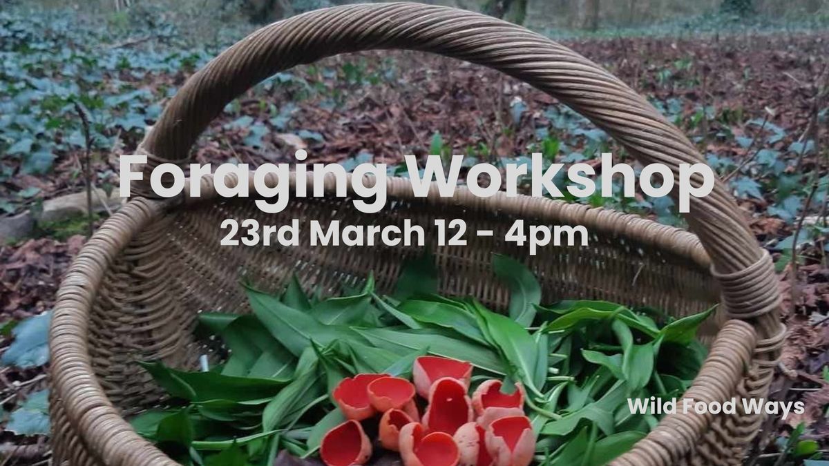 Foraging Workshop