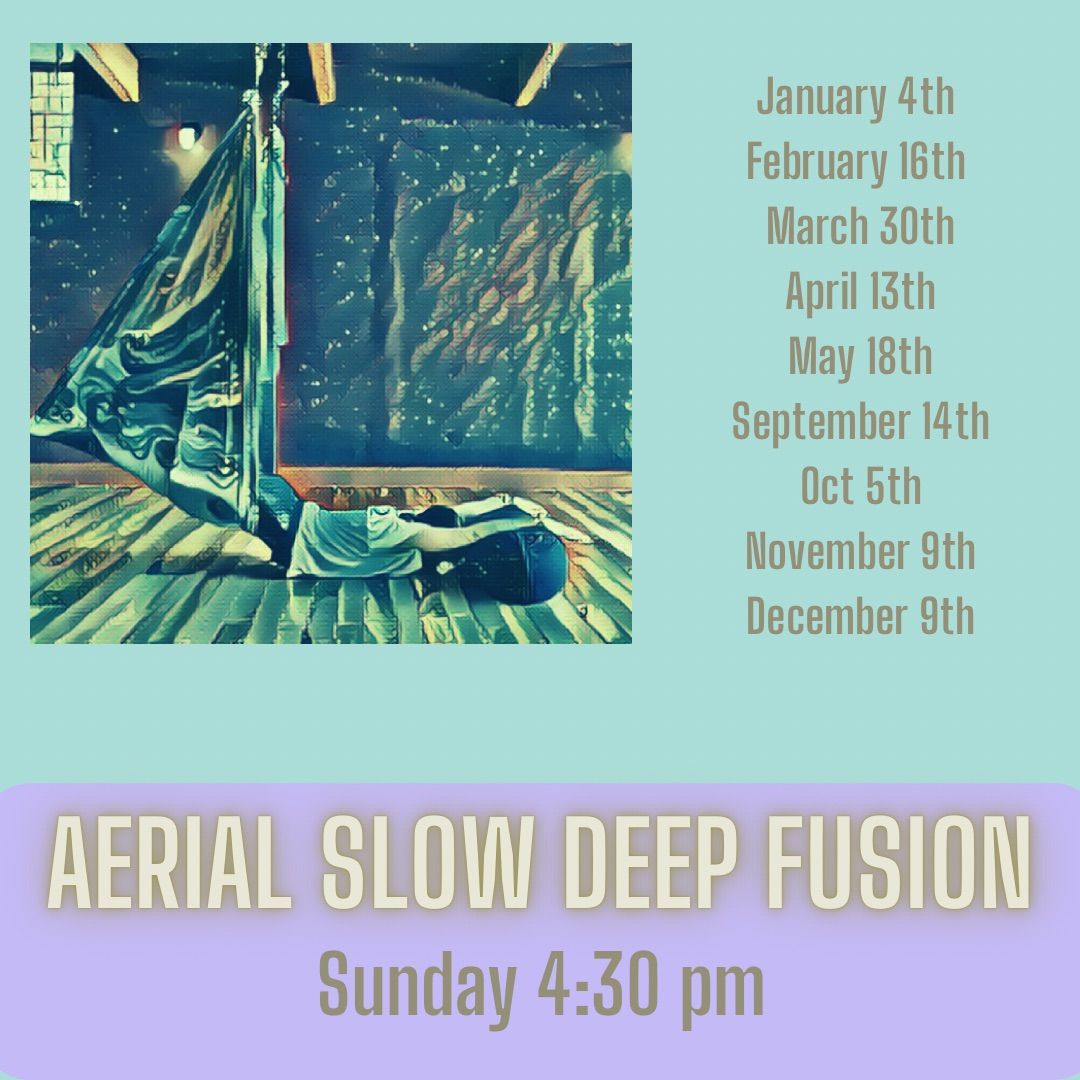 Aerial Slow Deep Fusion 