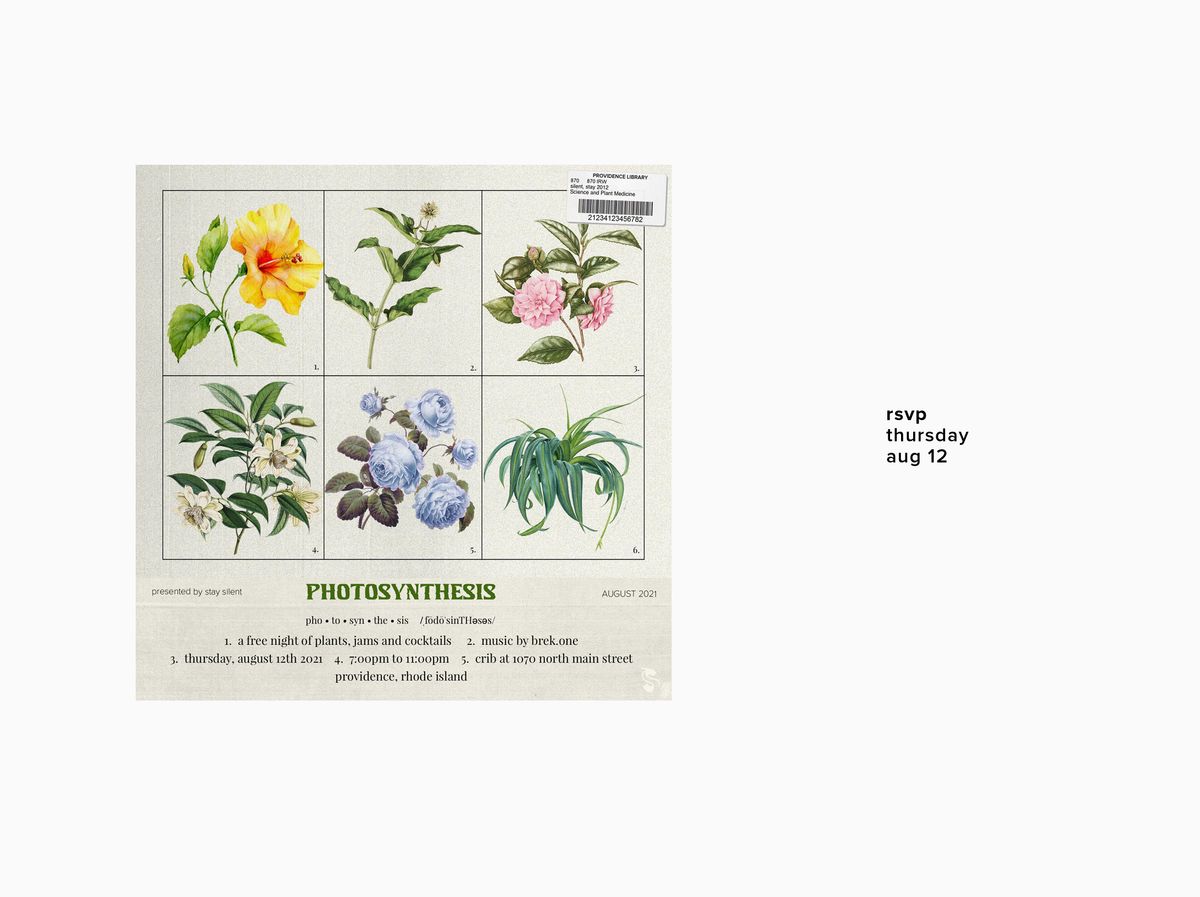 PHOTOSYNTHESIS / August 2021, Crib (Providence), 12 August 2021