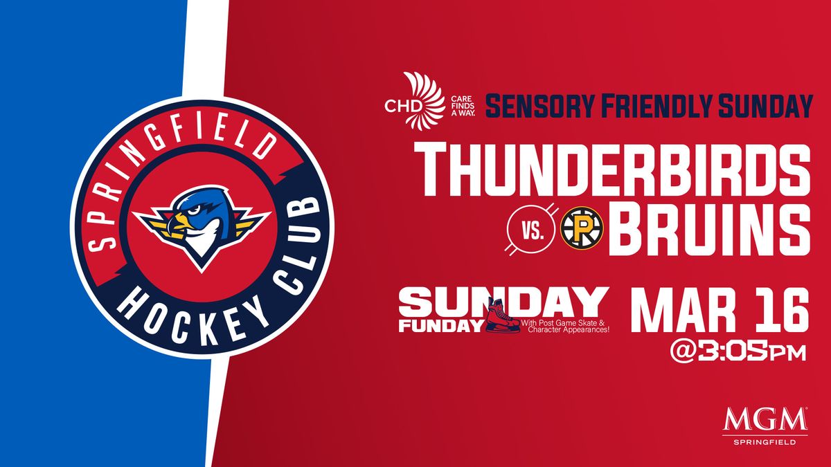 Springfield Thunderbirds vs. Providence Bruins