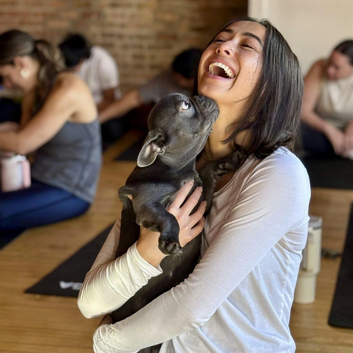 Puppy Yoga USA  - Chicago