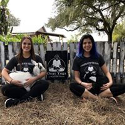 Goat Yoga SRQ
