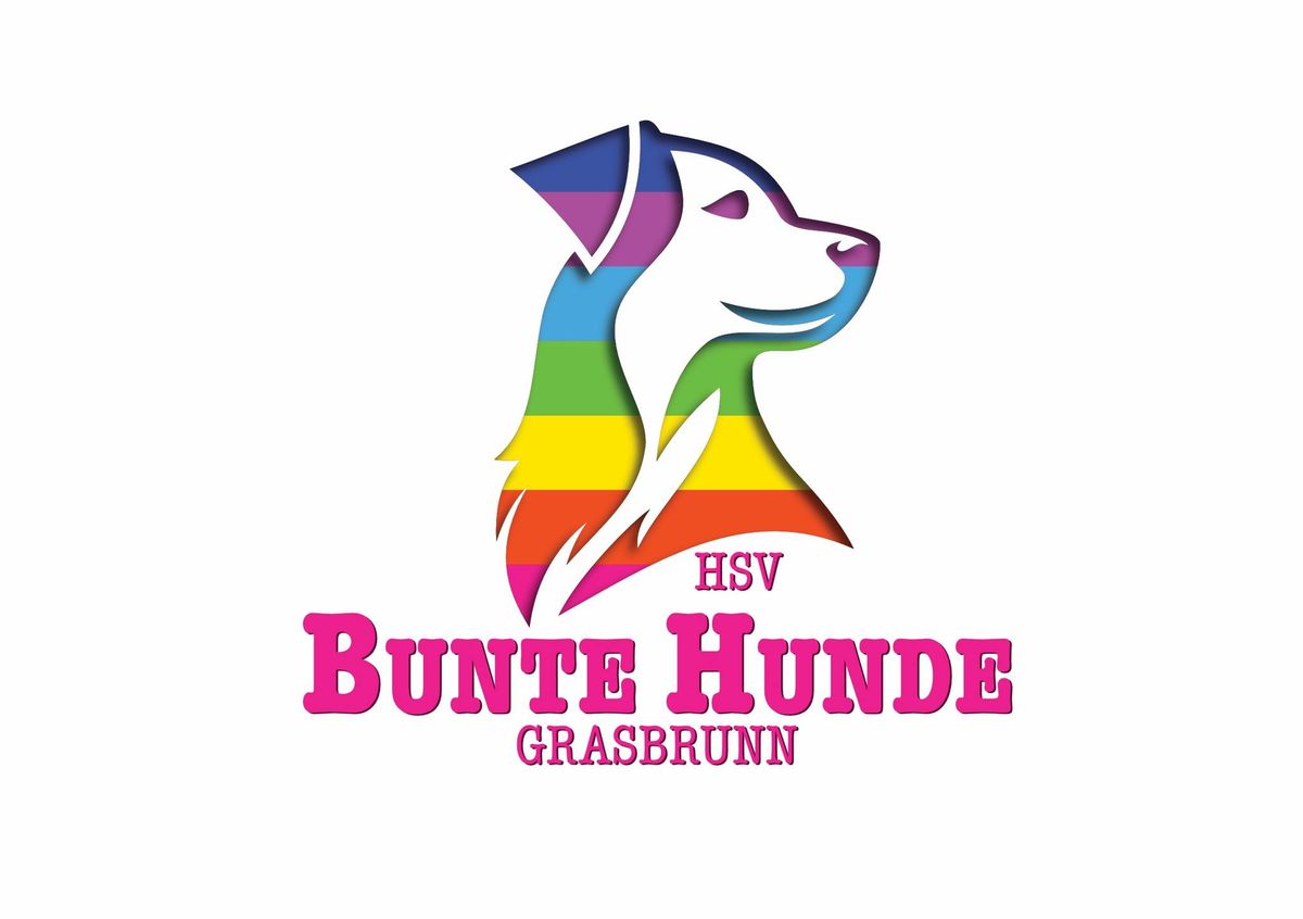 Bunte Hunde Grasbrunn Ruck-Zuck-Agilityturnier