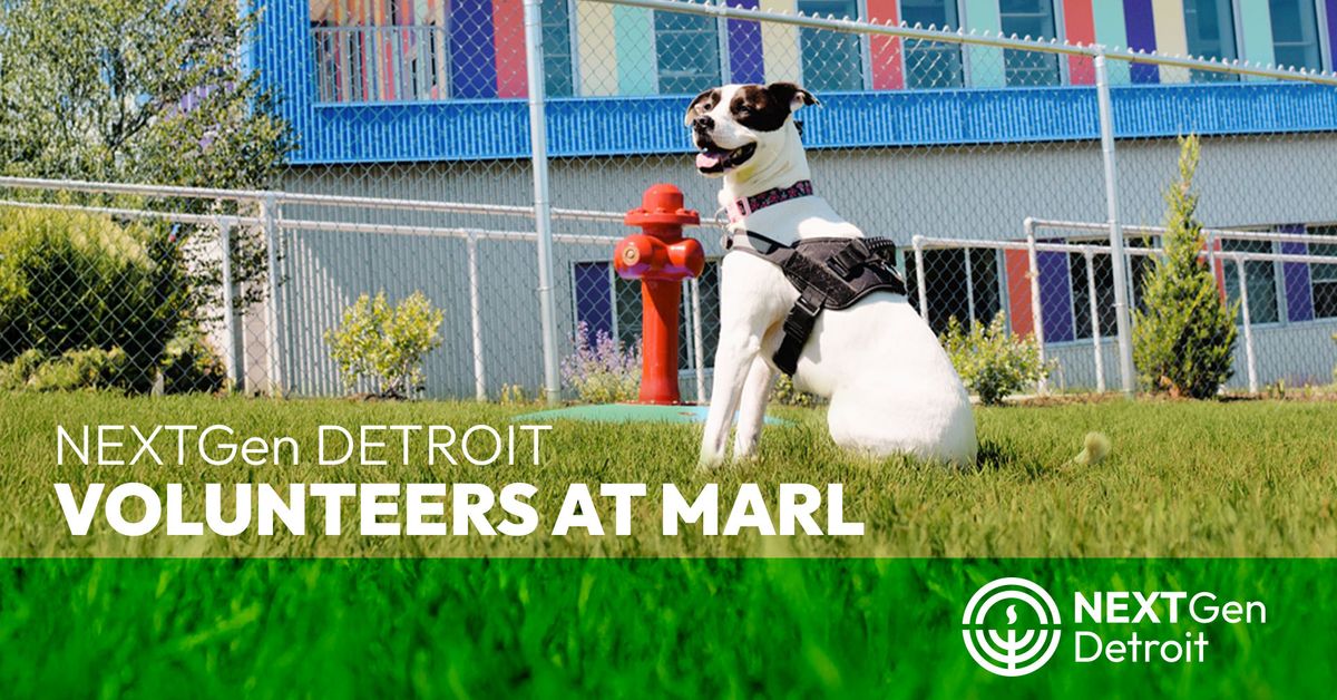 NEXTGen Detroit Volunteers at Michigan Animal Rescue League