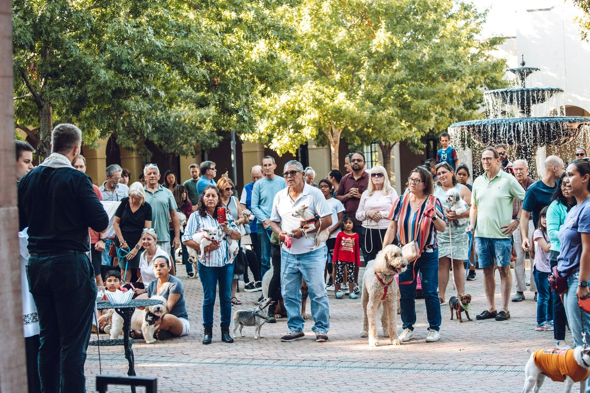 St. Francis of Assisi Feast Day Pet Blessing (5PM & 7PM)