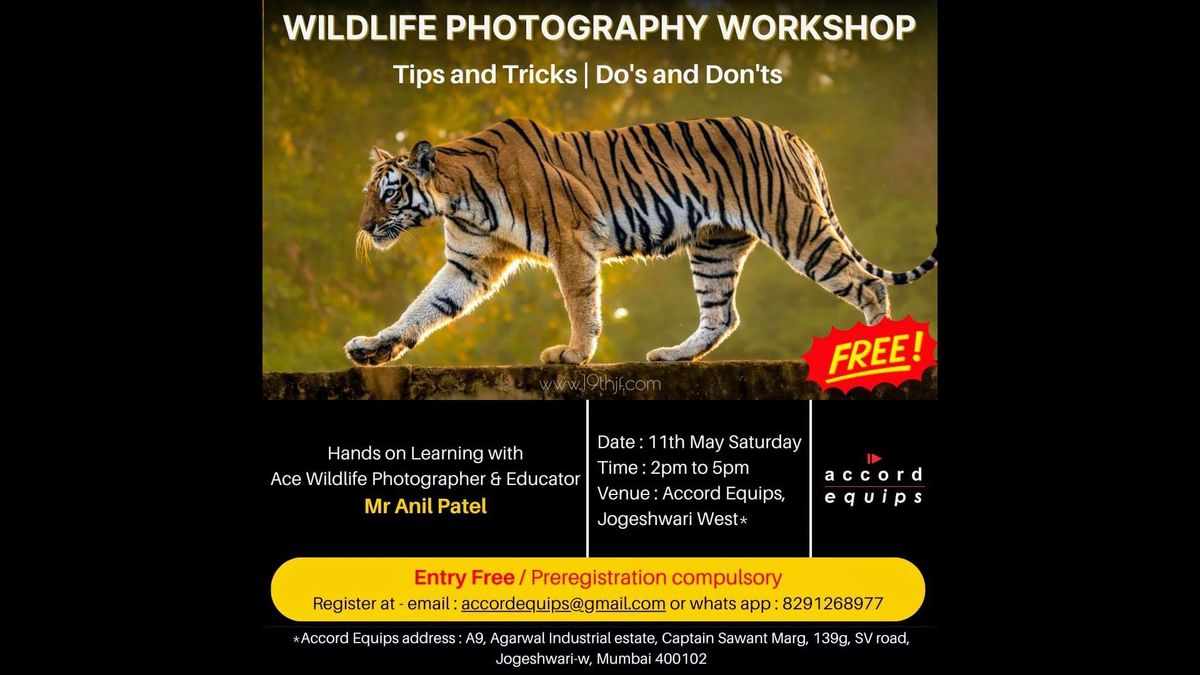 Free Wildlife Photography Workshop by Accord Equips