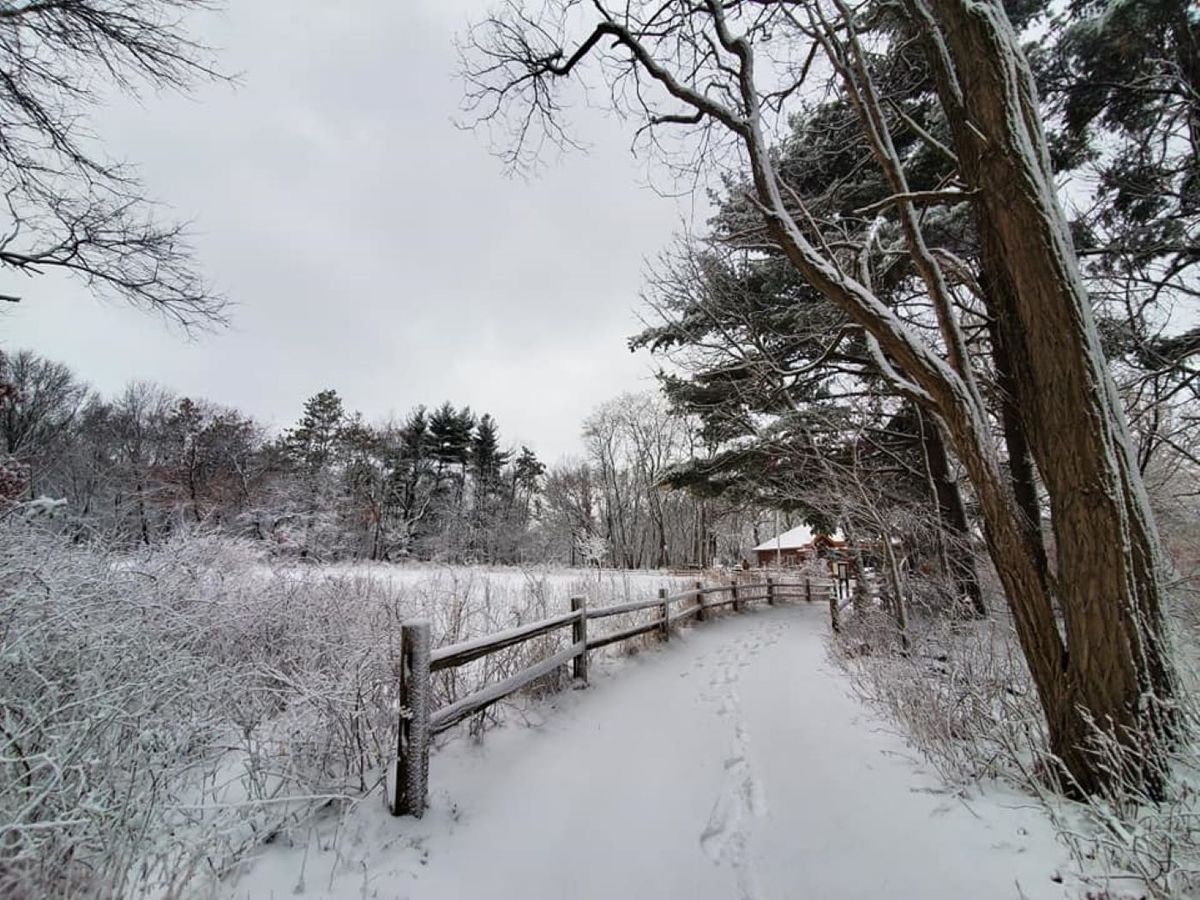 Restoration Sundays @ Sand Ridge Nature Center