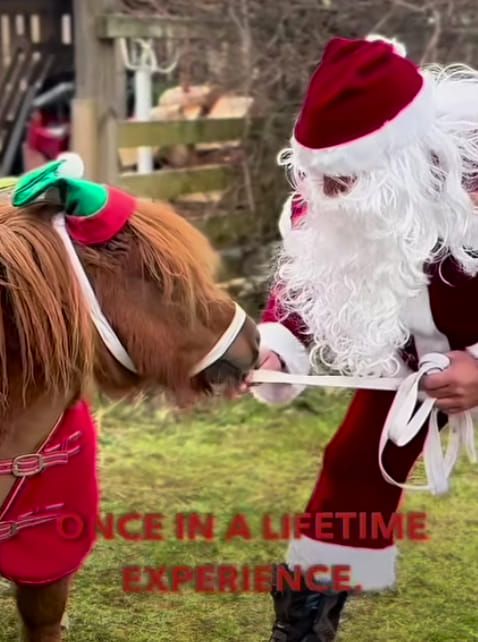 Cairngorms glamping Santa and Critter Grotto 