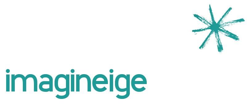 Imagineige 2025