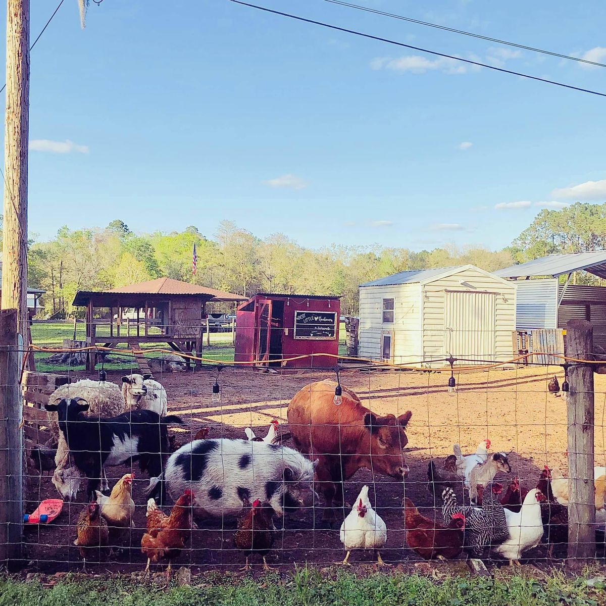 Farm Karaoke Party ? 