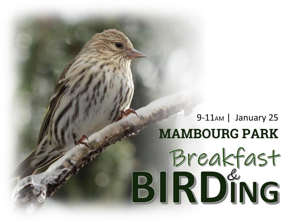 Breakfast & Birding (Mambourg Park)