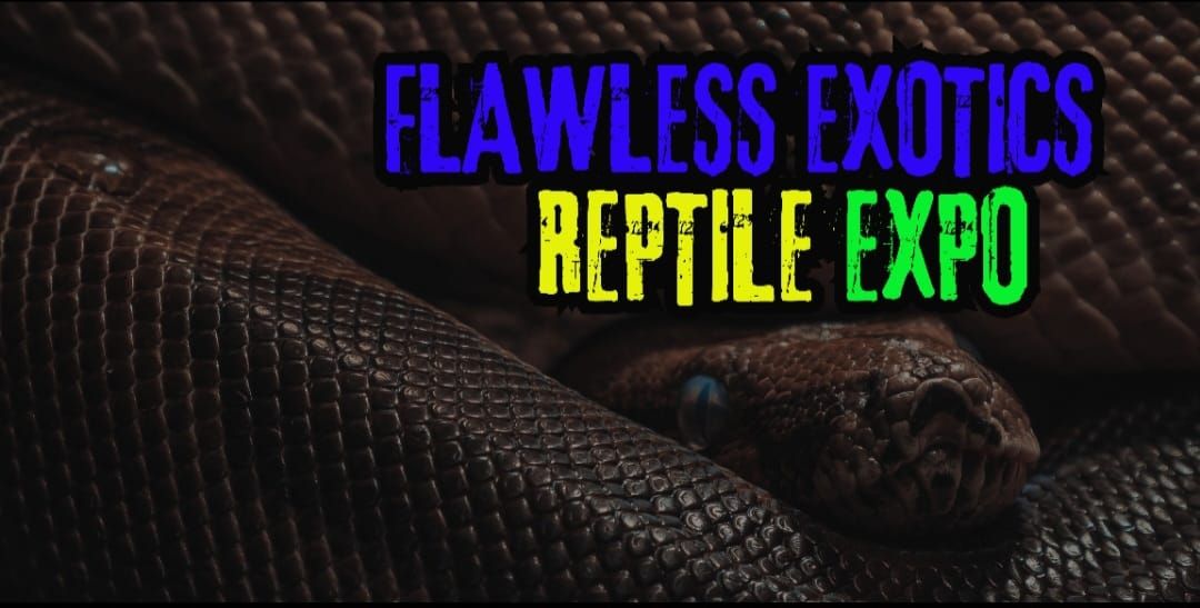 Flawless Exotics Expo