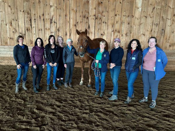 Mono, ON: Beyond Horse Massage Weekend Course with Leslie Kennedy