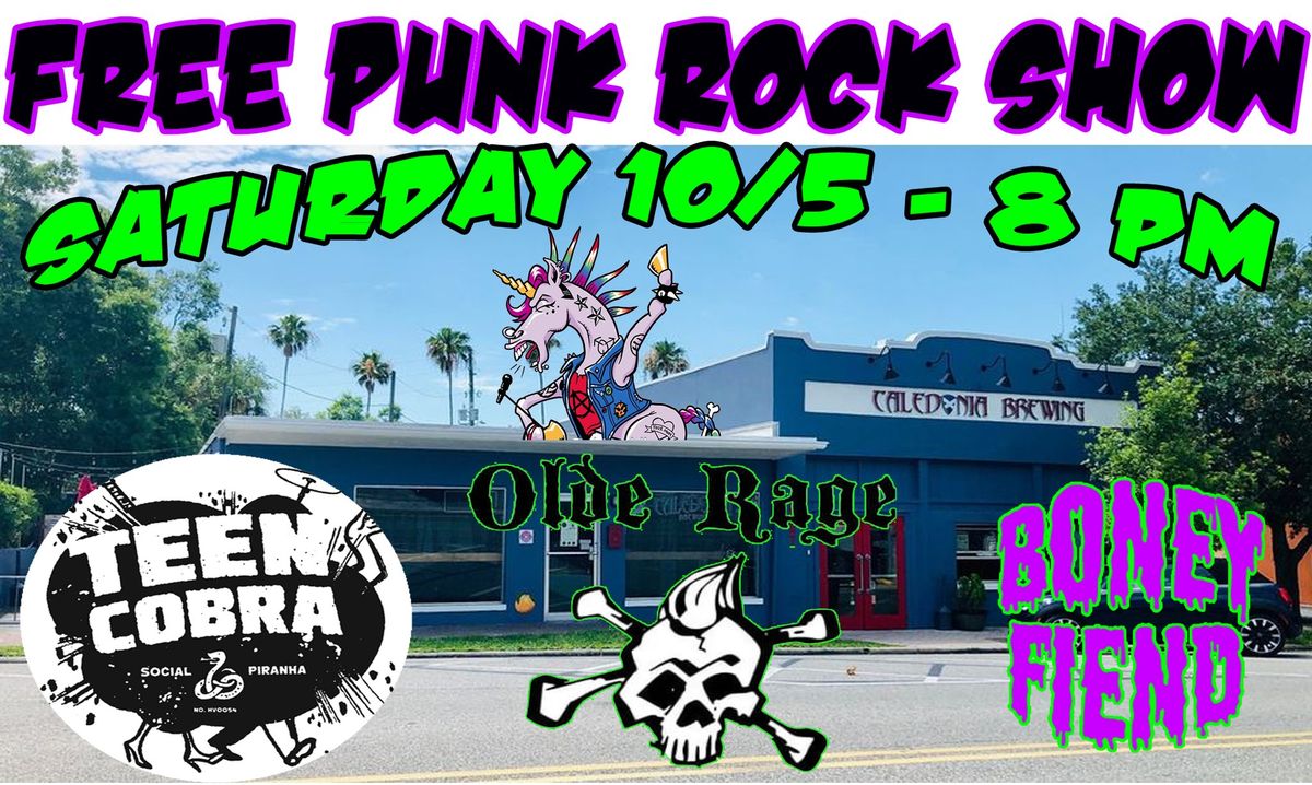 Free Punk Rock Show 