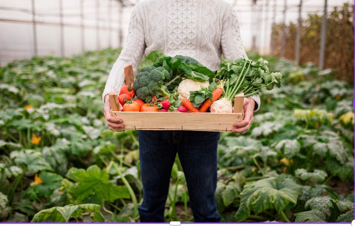 Your Farmer, Your Wellness Advocate - Farming, Food, and Lifestyle 