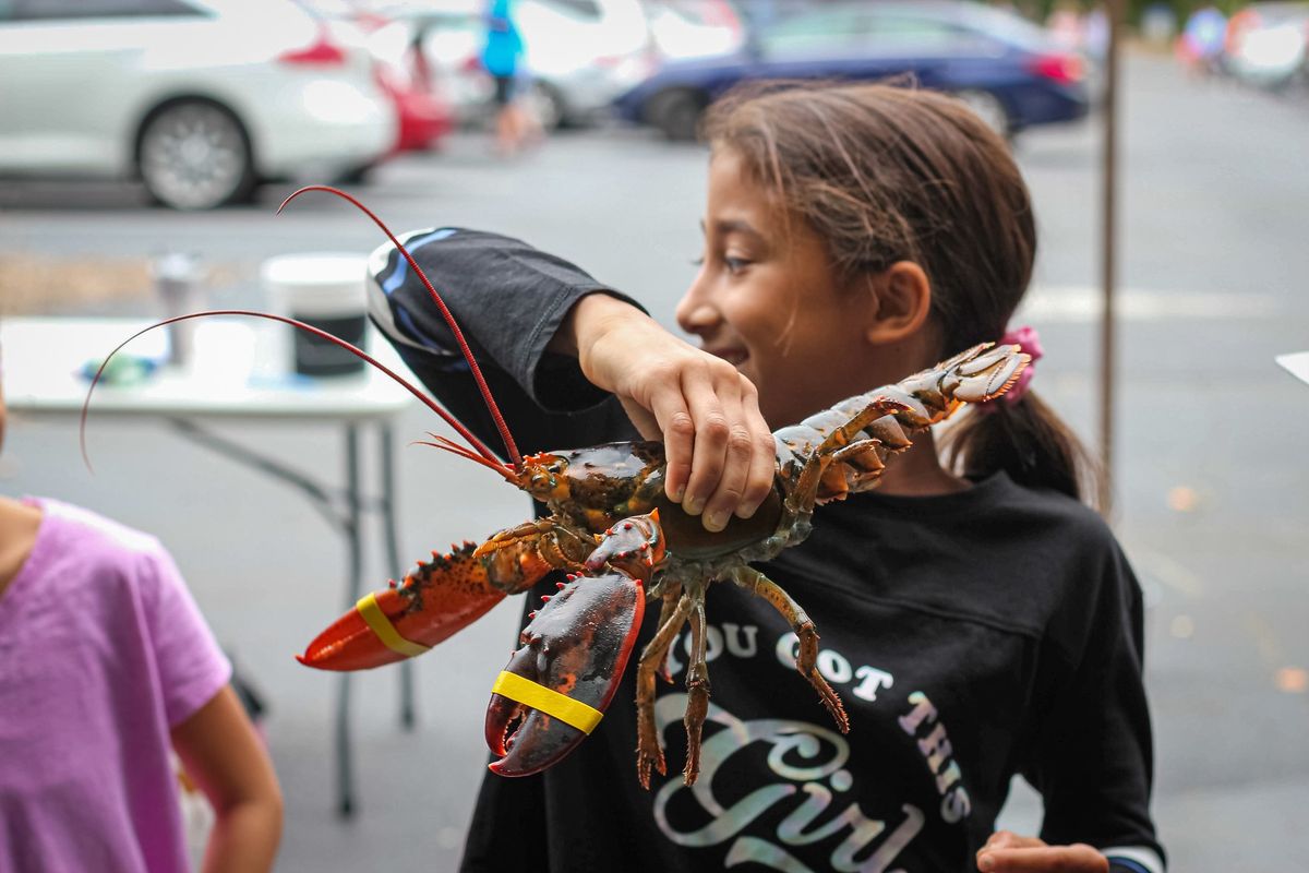 St. Paul's Lobster Fest 2024