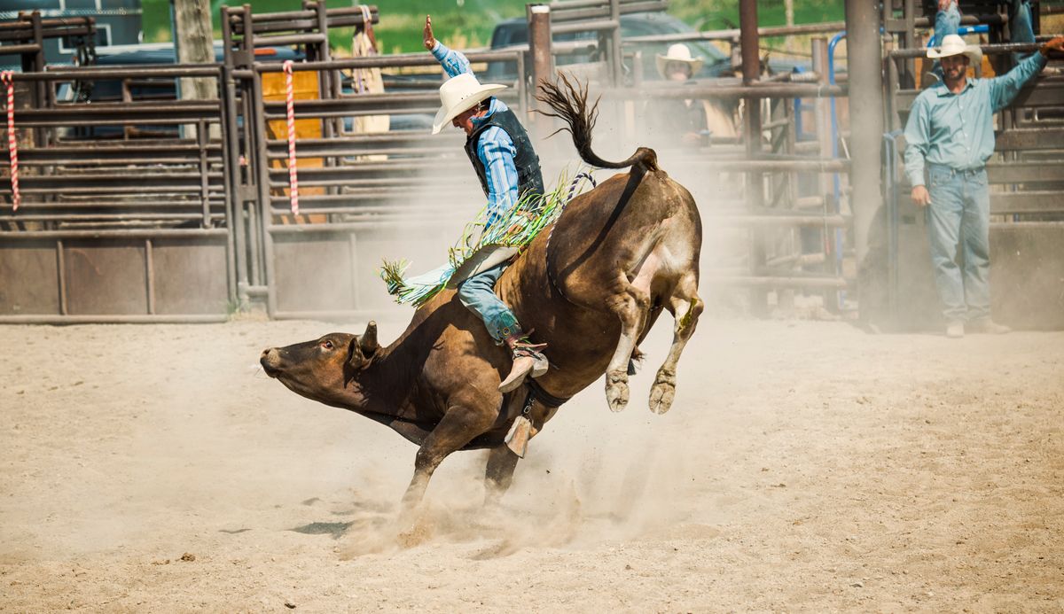 Clovis Rodeo at Clovis Rodeo