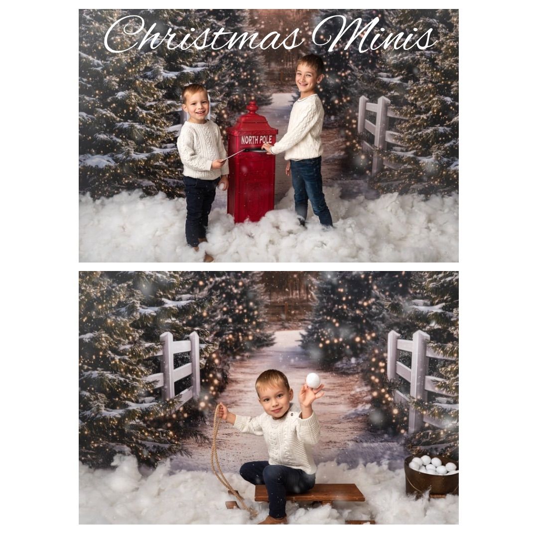 Christmas Minis 2024