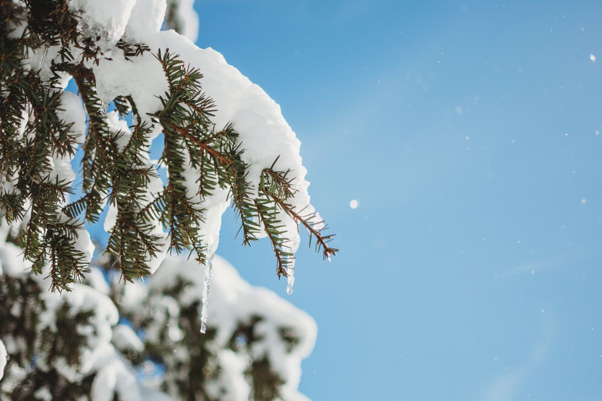 Winter Walk at Arcadia