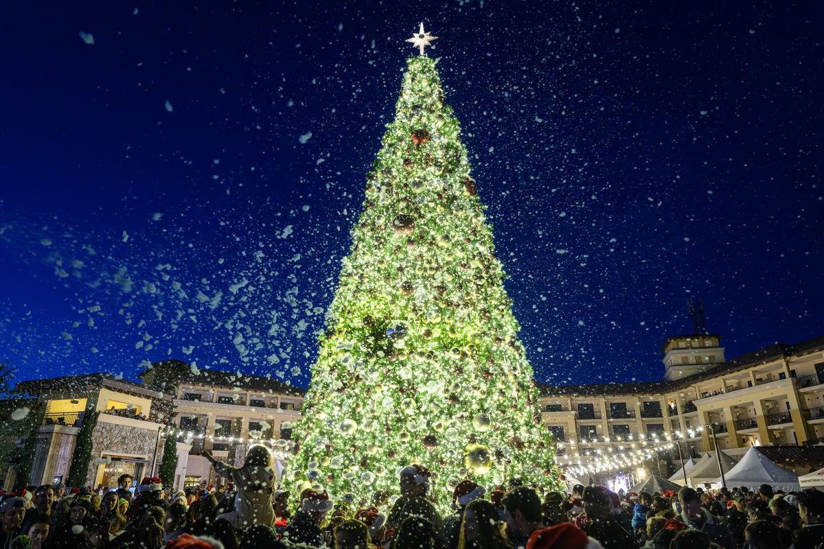 Tree Lighting Ceremony