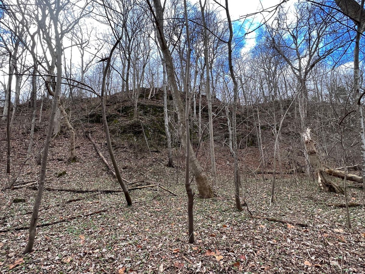 Winter Walk at Ball's Bluff