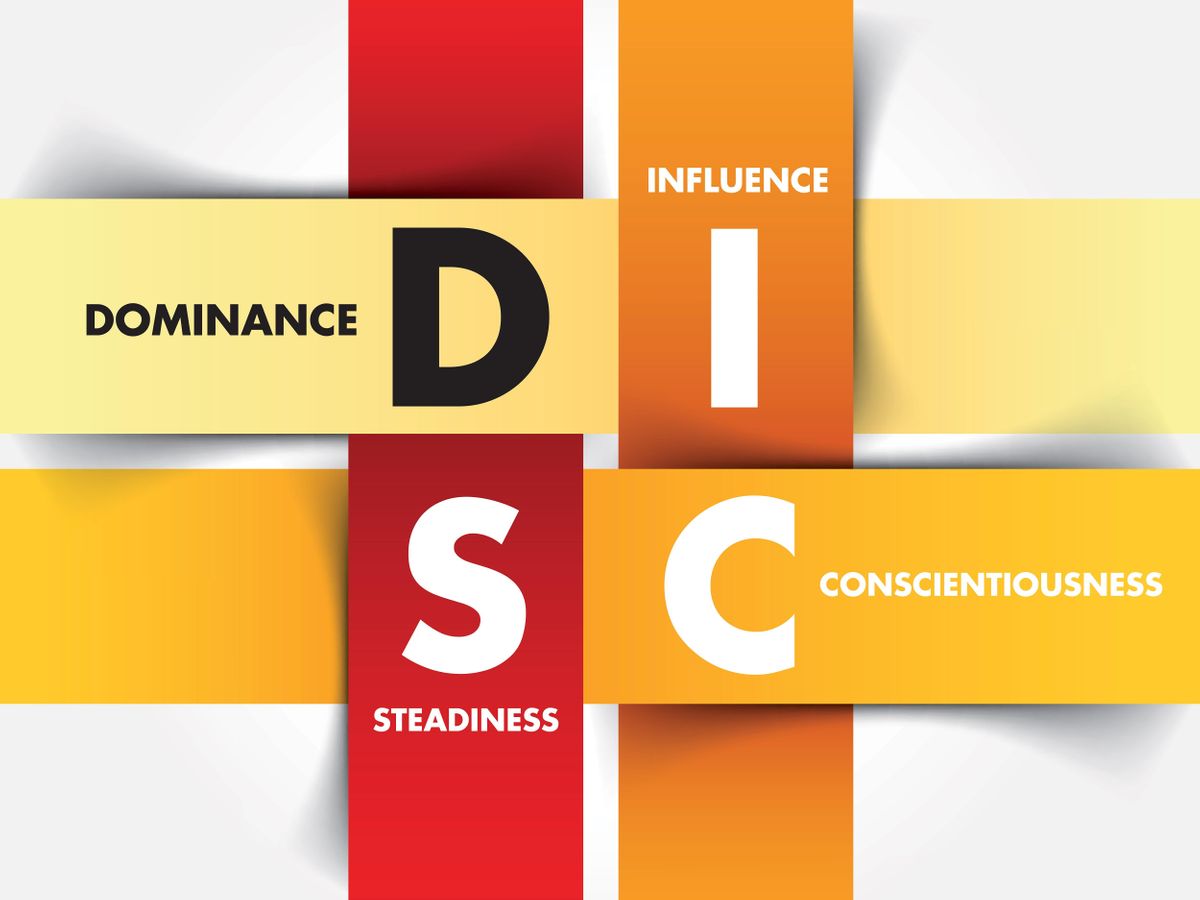 Explore Your Communication Style with DiSC Personality Assessment, 108 ...