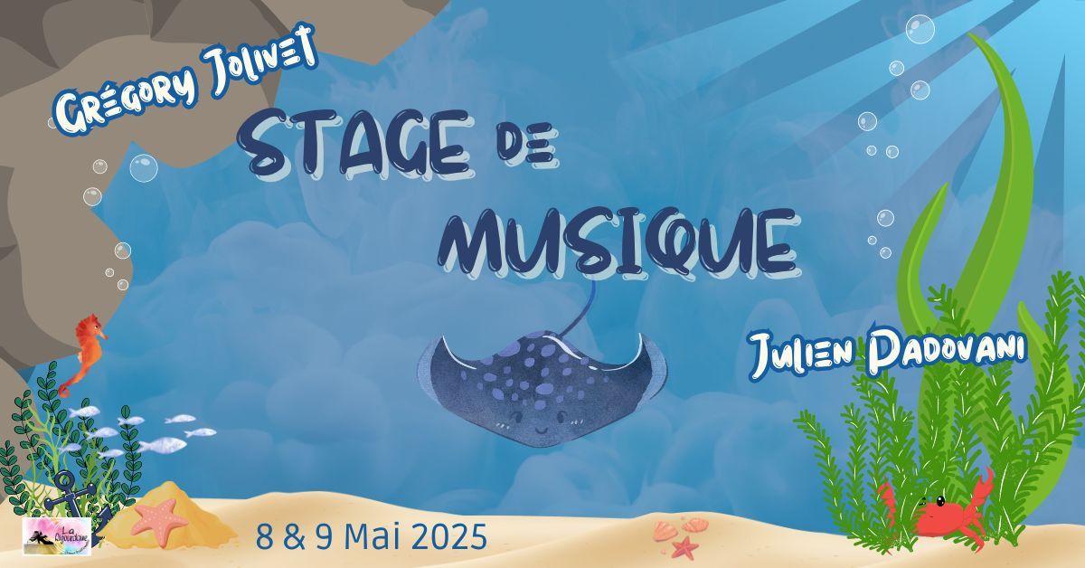 Stages de Musique - Vielle \u00e0 roue & Musique d'ensemble