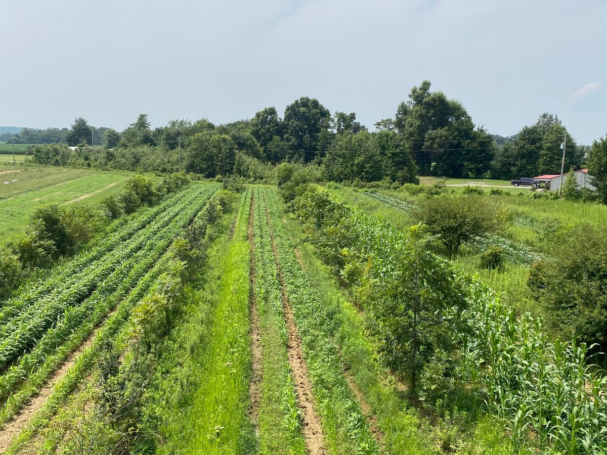 Agroforestry in Practice: Adding Perennials to the Farmscape WORKSHOP