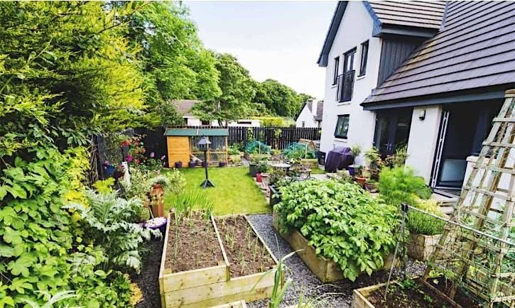 Discover Urban Homesteading:Lessons from a Hopeful, Busy Pseudo-Homesteader