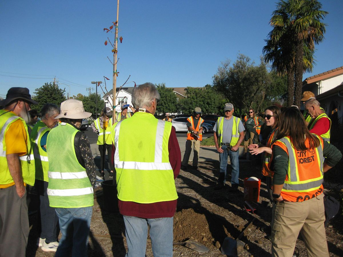 Community Planting on Senter Road with Our City Forest