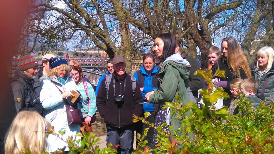 York Summer Wild Food Foraging Walk with FREE Wild Food Ebook