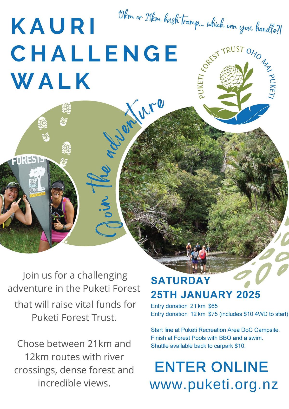 Kauri Challenge Walk