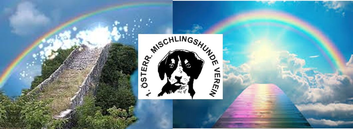 Hunderennen Regenbogen Lauf