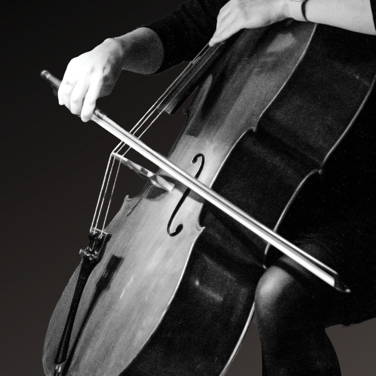 St. Louis Symphony: Stephane Deneve - Spotlight On John Williams