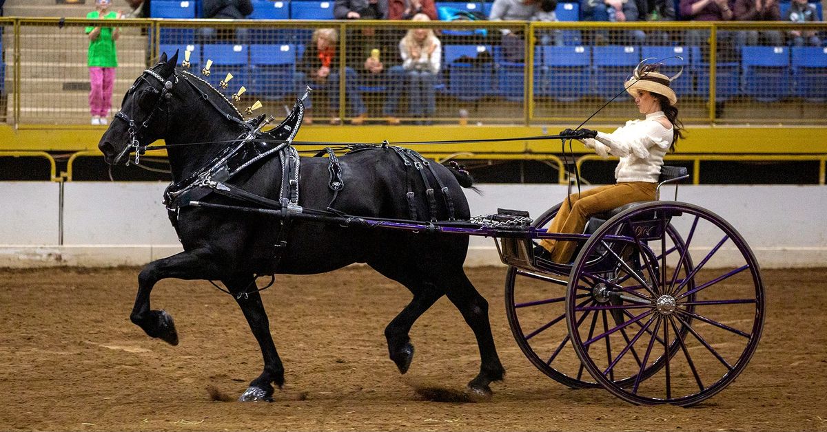 Draft Horse, Mule & Donkey Shows