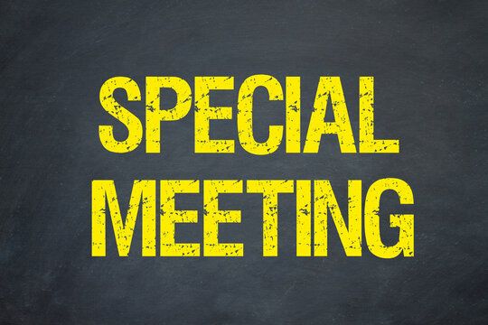 Special Meeting for Counting Ballots