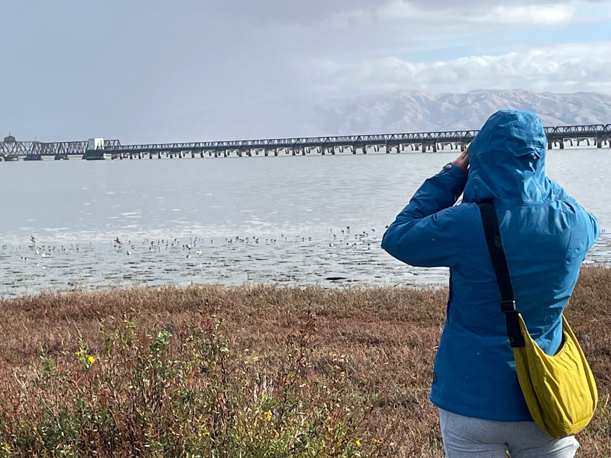 Bird Walk at Pond SF2