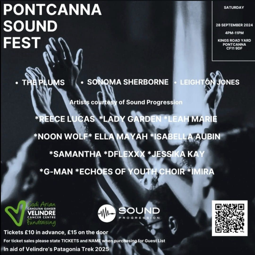 Pontcanna Sound Festival