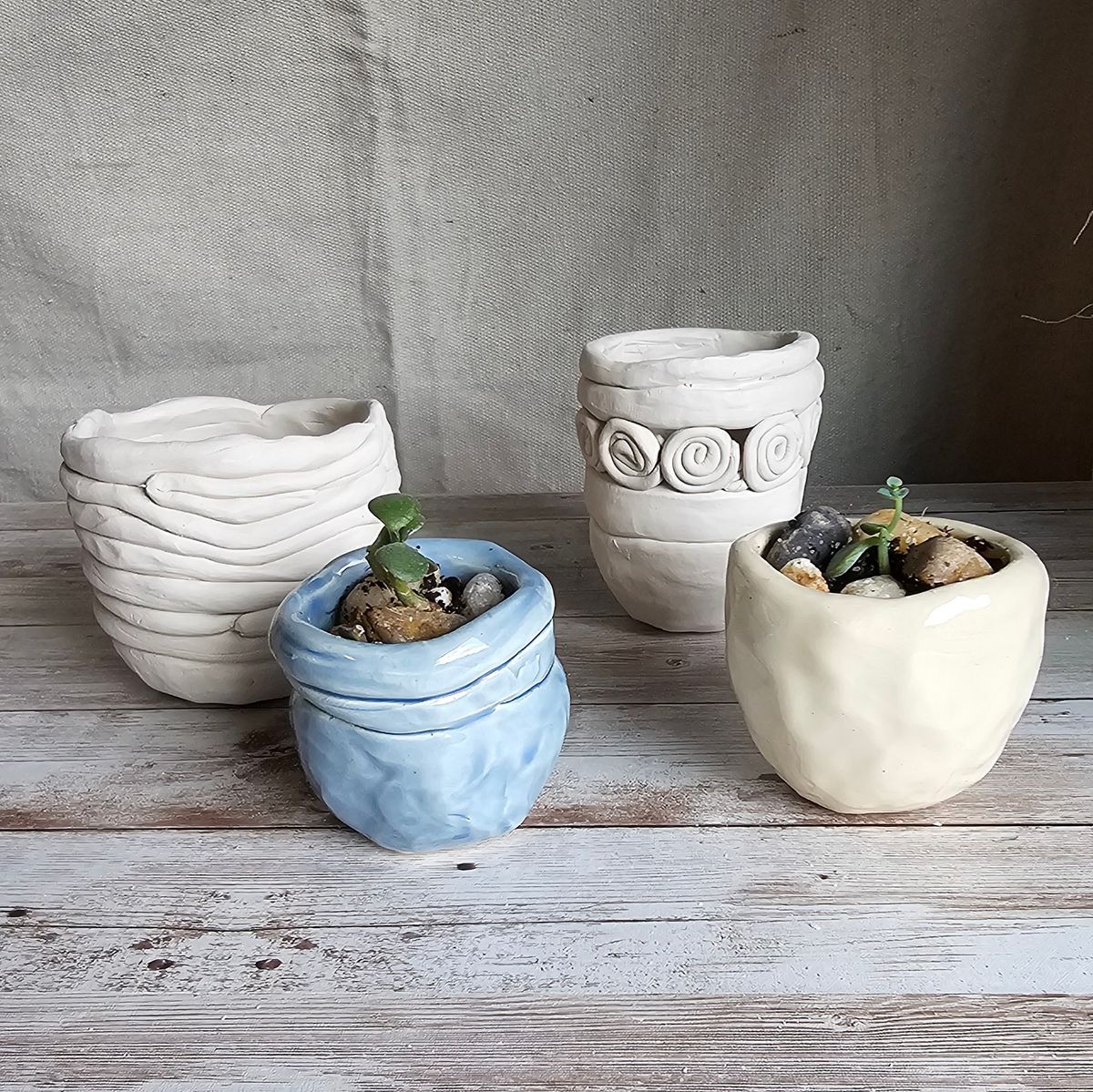 Plants and Pottery: Making Flower Pots