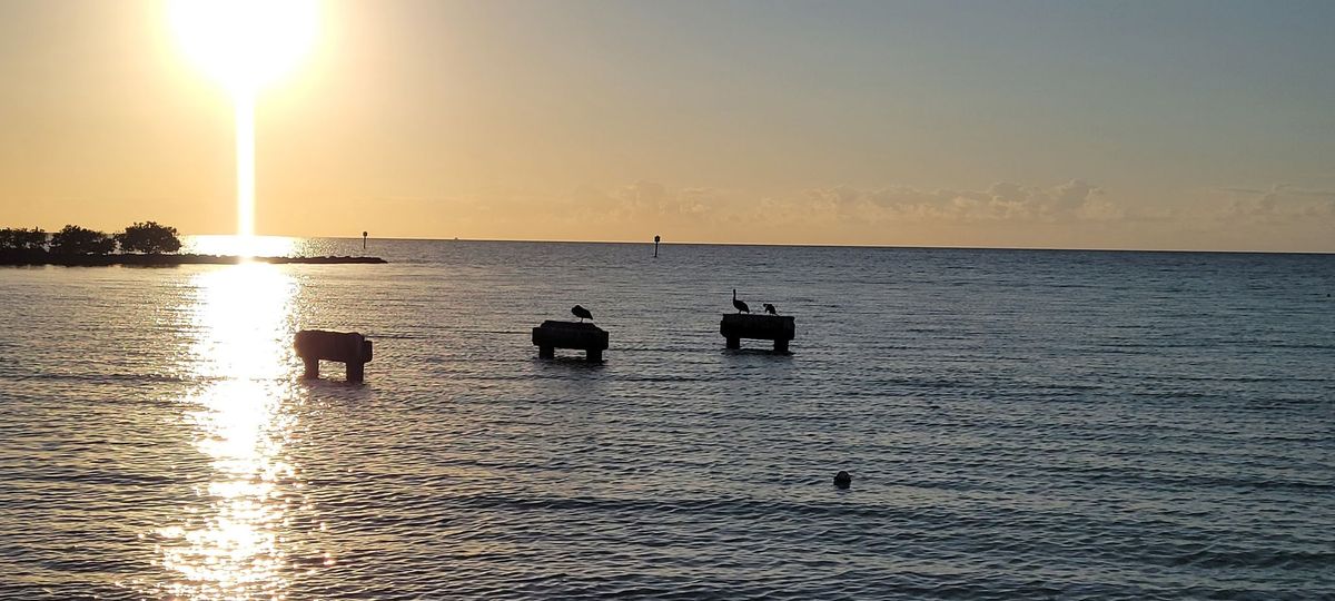 Saturday Clean Up Smathers Beach  International Coastal Clean UP near Margaritaville Hotel 