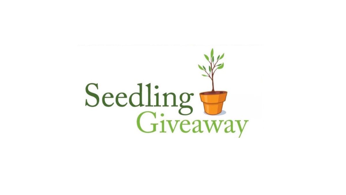 Montgomery Trees Seedling Giveaway