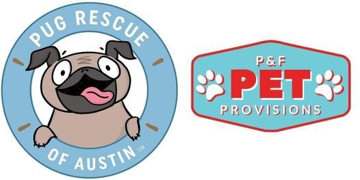 Pug Rescue of Austin's first meet-and-greet of 2021