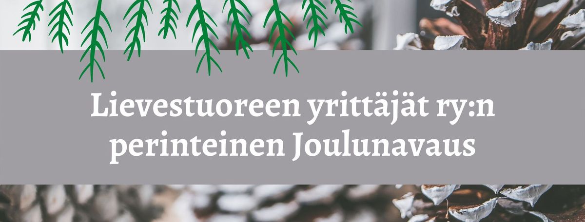 Lievestuoreen yritt\u00e4j\u00e4t ry:n Joulunavaus (1.12.)