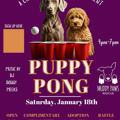 Spicy Moon Bowery Presents Puppy Pong