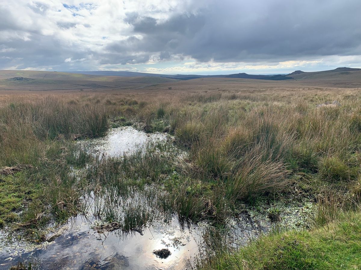 Dartmoor Ritual And Ceremony \u2013 Spring Equinox